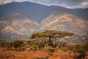 water crisis global impact